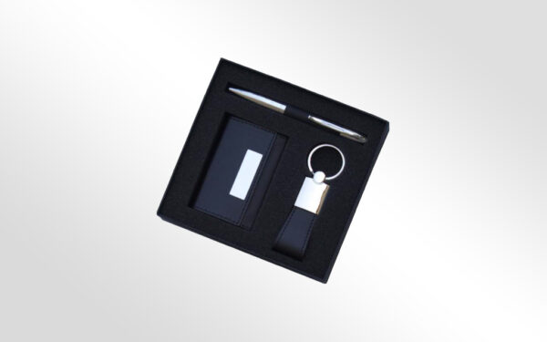 nq0332 SET PORTE CLES+PORTE CARTE VISITE+STYLO ( 03 C ) - NQ0332