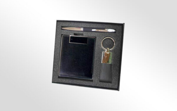 nq51-1 coffret nq51-1